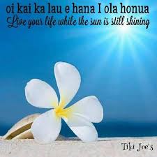 Live Your Life While The Sun Is Still Shining Hawaiian Quotes Hawaiian Phrases Hawaii Quotes