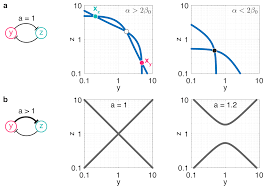 Maybe you would like to learn more about one of these? Life Free Full Text Stability And Robustness Of Unbalanced Genetic Toggle Switches In The Presence Of Scarce Resources Html