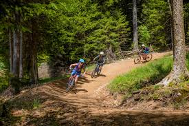 Create good names for games, profiles, brands or social networks. Snowshoe Bike Park Home Facebook