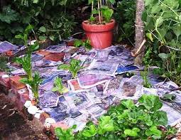 See full list on wikihow.com What To Do With No Dig Garden Next Season Keep Adding To Layers Or Start Again