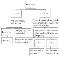 From Diagnosis To Treatment Of Hepatocellular Carcinoma An