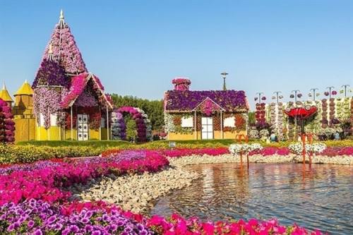 DALAT - MUI NE - HO CHI MINH