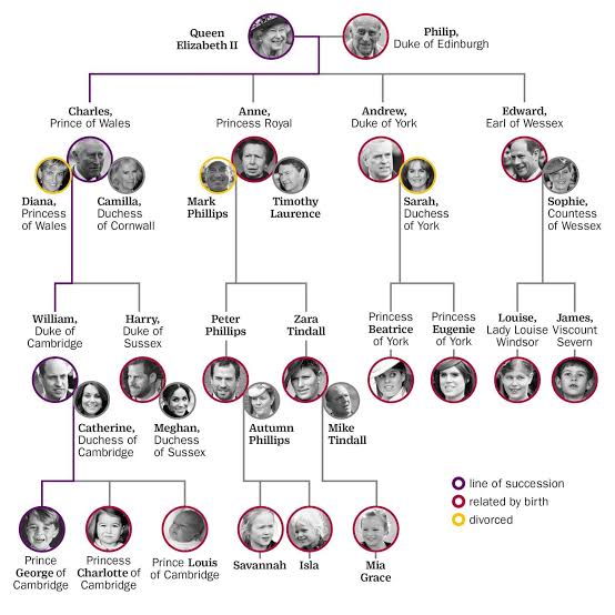 Image result for british royal family trees"