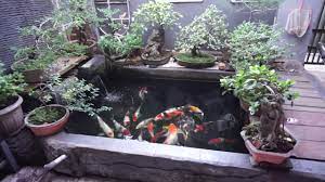 In diy, improving our acreage on 06/16/20. Simple Diy Koi Ponds Ideas 2018 Youtube