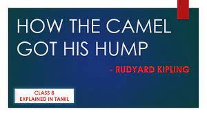 The camel gets a hump because when the camel says humph to the djinn, the djinn is mad and says to the camel, i shouldn't say that again if i were you, but he does anyway. How The Camel Got His Hump Rudyard Kipling Class 8 Explained In Tamil Youtube