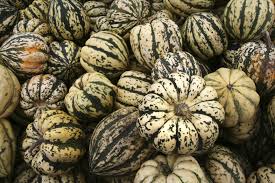 The Nutritional Values Of Delicata Squash Healthy Cooking