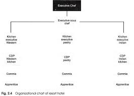 Organizational Structure Of The Kitchen