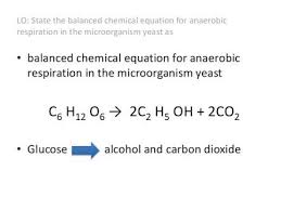 Balanced Chemical Symbol Equation For Aerobic Respiration Tessshebaylo