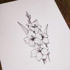 Gefallt 306 Mal 5 Kommentare Carina Carina Lettering Auf Instagram Gladiolus For Botan Gladiolus Tattoo Birth Flower Tattoos Gladiolus Flower Tattoos