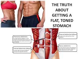 Forget Sit Ups And Complex Ab Exercises To Get A Flat Toned Stomach The Secret Is A Layer Of Muscles Called Th Toned Stomach Stomach Muscles Abdominal Muscles