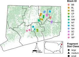 It means that any decisions and objectives come from upper management, who will then communicate this to the. Frontiers Bottom Up And Top Down Effects Of Forest Fragmentation Differ Between Dietary Generalist And Specialist Caterpillars Ecology And Evolution