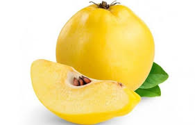 A pump sprayer is used to apply neem oil mixture on fruit trees. Quince Treatments Most Common Diseases And Pests Of This Fruit Tree Nexles