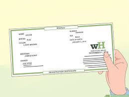 Your birth certificate is an important personal document. How To Register Your Dog 6 Steps With Pictures Wikihow