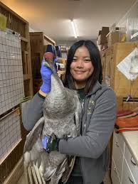 Back To The Wild,...