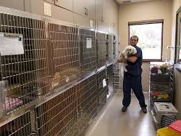 Hospital Tour Hospital Tour Vet Clinics Hospital