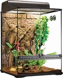 Exo Terra Terrarium 18 X 18 X 24 Mayan Background Exoterra Terrarium Reptile Habitat Reptiles