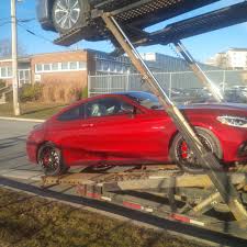 Image result for Hyacinth Red 2016 C