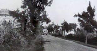Gurhan Acikbas Adli Kullanicinin Bornovs Panosundaki Pin 1950 Ler