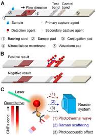 The metal detector includes a waterproof wand and a compact. Signal Amplification And Quantification On Lateral Flow Assays By Laser Excitation Of Plasmonic Nanomaterials