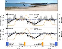 We did not find results for: Heat Stress Differentially Impacts Key Calcification Mechanisms In Reef Building Corals Springerlink