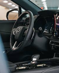 Image result for Nori Green 2025 LZ