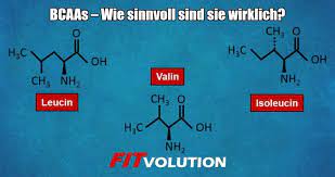 Check spelling or type a new query. Bcaas Sinn Wirkung Und Einnahme Fitvolution