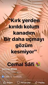 Sehnaz Rizeli Adli Kullanicinin Soz Bazen Hem Gumustur Hem Altin Panosundaki Pin Yerler Yorum