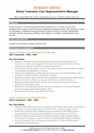 Accountant job description, free pdf sample: Senior Customer Care Representative Resume Samples Qwikresume