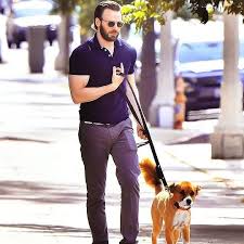 Chris Evans Panosundaki Pin
