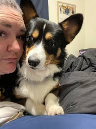 Mochi chilling out in the sun 😄