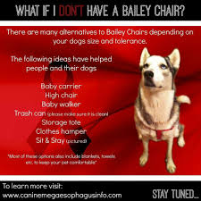 Alternatives To A Bailey Chair For Megaesophagus Bailey Chairs Baby Dogs Animal Quotes