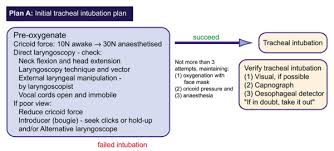 Intubation Guidelines Rapid Sequence Induction Not