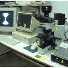 Dtm computer has been in business since 2001. Ddm System Designed And Developed In The Microscopy Laboratory Download Scientific Diagram