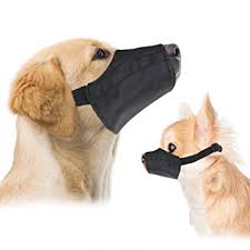 Downtown Pet Supply Quick Fit Dog Muzzle With Adjustable Straps Black Nylon Size 0 Size 1 Size 2 Size 3 Size 4 Size 5 Size 3 Xl Size 4 Xl Or