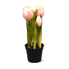 I purchase 3 ea of transtek memory foam neck rest with inflatable neck pillow at ace hardware, green pramuka square, jakarta indonesia. Artificial Flower
