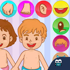 Partes del Cuerpo para Niños - Aplicaciones en Google Play