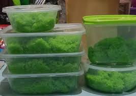Sementara itu masak 800 ml air sampai mendidih. Cara Gampang Menyiapkan Tape Ketan Hijau Anti Gagal Resep Dari Rumah Rasa Enak Dan Lebih Sehat