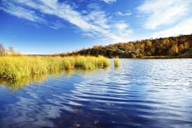 See 2 authoritative translations of windy in spanish with example sentences, phrases and audio pronunciations. 70 Nature Words In Spanish That Ll Make Your Language Skills Blossom