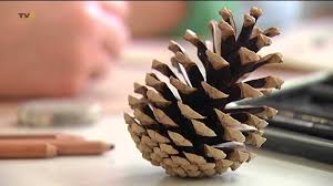 We did not find results for: Mit Farbkasten Und Pinsel Vorbereitungen Fur Aufnahmeprufung Fur Erste Mos Im Allgau Youtube