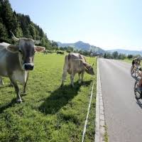 August 2021 gv baden basket 54. Ironman 70 3 Switzerland Rapperswil Jona 2021 2022 Termin Anmeldung Ergebnisse Fotos