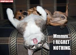 The Best Of I Regret Nothing 18 Pics