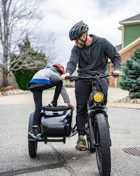 Image result for bicycle sidecar