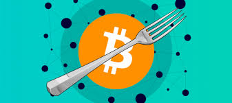 Bitcoin forking is a topic that may interest many people, so this article is meant for a general audience. Bitcoin Cash Hardforks On May 15th What Does It Mean For Bch Owners By Coinswitch Coinswitch