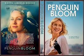 A family takes in an injured magpie that makes a profound difference in their lives. Penguin Bloom 2020 Nyimny Dvd Covers