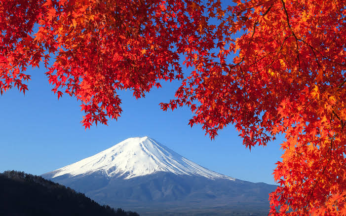 Best Tokyo Autumn Day Trips — Where to Go for Those Fall Feels | Tokyo  Cheapo