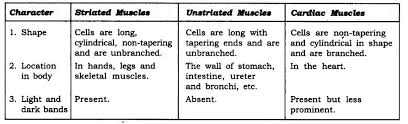 Motion is described by terms like distance, displacement velocity, acceleration etc. Ncert Solutions For Class 9 Science Chapter 6 Tissues
