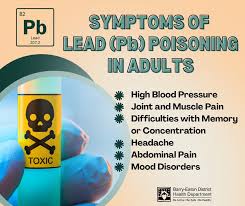 Image result for Lead Poisoning