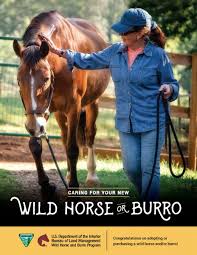 Check spelling or type a new query. Frequently Asked Questions Bureau Of Land Management
