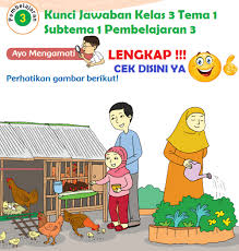 Lengkap Kunci Jawaban Kelas 3 Tema 1 Subtema 1 Pembelajaran 3 Kunci Jawaban Tematik Lengkap Terbaru Simplenews