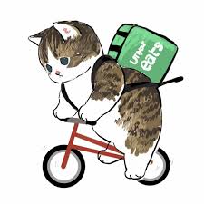 Look at our colourful collection of cat pictures and download your favorite one for free! Pin On Cat